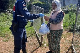 Muğla’da 2700 Aileye Vefa Eli Ulaştı