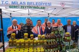 ZEYTİN HASAT ŞENLİĞİ MUHTEŞEMDİ!..