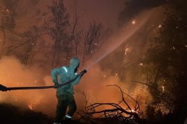 Milas iki farklı noktadan yanıyor, söndürme çalışmaları devam ediyor. Muğla genelinde 7 yangın peşe peşe çıktı