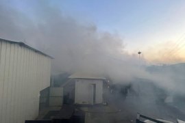 Milas'ta balık fabrikasında yangın