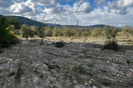 Milas'ta Zeytinlik Krizi: YK Enerji’nin Faaliyetleri Tepki Çekiyor