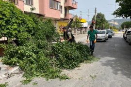 Milas Belediyesi Ekiplerinden Anında Müdahale