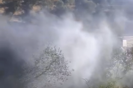 Milas’ta Sazlık Yangını Kısa Sürede Söndürüldü