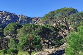 MUÇEP Genel Meclisi Milas'ta Toplandı