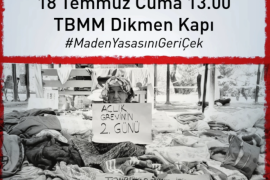 ​​​​​​​Açlık Grevine Rağmen Yasa Geçti: “Zeytinlerimizden Vazgeçmeyeceğiz!”