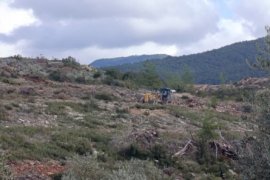 Nejla Işık’tan Çağrı: “Milas Ayağa Kalk, Akbelen’e Sahip Çık”