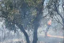 Milas Pınarcık ve Bafa’daki Yangınlar Kontrol Altına Alındı