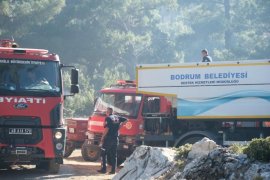 Milas Demirciler Mahallesi'ndeki Yangın Kontrol Altına Alındı