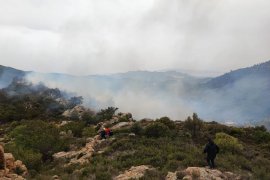 Bodrum’da orman yangını