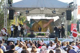 Zeytin Hasat Şenliği başladı