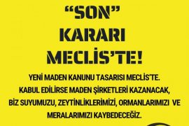 Milas Kent Konseyi’nden Sert Tepki: “Zeytinime, Ormanıma, Yaşamıma Dokunma!”