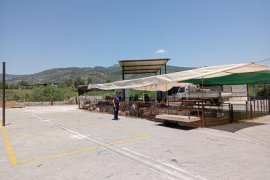 Milas Belediyesi Kurban Pazarı Bayrama Hazır