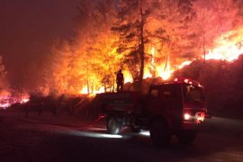 Milas iki farklı noktadan yanıyor, söndürme çalışmaları devam ediyor. Muğla genelinde 7 yangın peşe peşe çıktı
