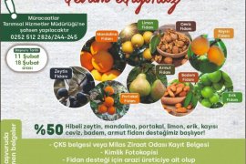 Üreticilere Fidan Dağıtımı Gerçekleştirilecek