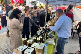 Milas’ta 11. Zeytin Hasat Şenliği Coşkusu …