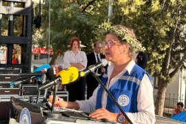 Milas’ta 11. Zeytin Hasat Şenliği Coşkusu …