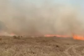 Milas'ta Aynı Gün 5 Ayrı Noktada Alevlerle Mücadele Edildi