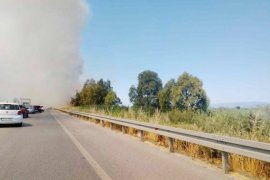 Yangın, Söke yolunu trafiğe kapadı