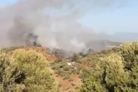 Yine Güllük, Yine Yangın, Yine Elektrik Kaynaklı