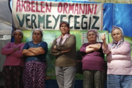 “Muğla, Milas, Bir Şirketten Büyüktür!”