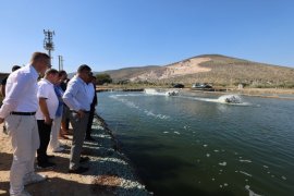 Vali Akbıyık, Milas’ta Su Ürünleri Tesislerini ve Topraksız Tarım Bölgesini İnceledi