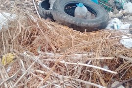 Bu Dere Başka Dere...