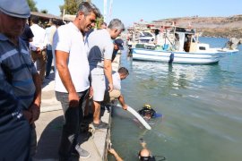 Milas Boğaziçi’nde 160 Bin Yavru Balık Denizle Buluştu