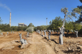 YK Enerji’den Gazetemize Sansür, Zeytin Taşıma Operasyonuna Tepki Çığ Gibi Büyüyor