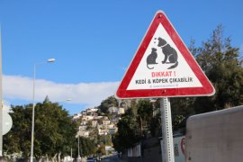 Bodrum Belediyesi’nden canlar için tabela