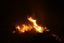 Milas iki farklı noktadan yanıyor, söndürme çalışmaları devam ediyor. Muğla genelinde 7 yangın peşe peşe çıktı