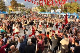 Milas’ta 11. Zeytin Hasat Şenliği Coşkusu …