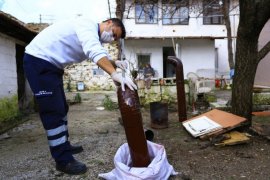 ‘Kırsaldaki Çınarlar’ Projesi devam ediyor..