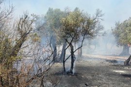 Milas Pınarcık ve Bafa’daki Yangınlar Kontrol Altına Alındı