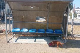 Güllük Futbol Sahasının Hali Tepki Çekiyor