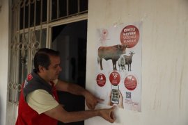 Kurban Bayramı Öncesi Hayvan Pazarı Denetimi
