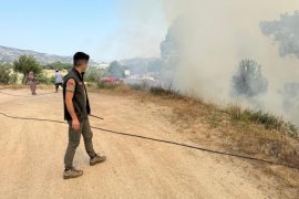 Orman Yangınında 2 Hektar Alan Zarar Gördü