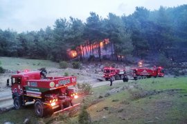 Orman yangınları Muğla’da yaz-kış dinlemiyor!.. SON HAFTADA 6 ORMAN YANGINI..