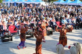 Zeytin Hasat Şenliği başladı