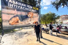 4 Ekim’de Sessiz Eylem: “Tüm Belediye Başkanlarının Elinde Kan Var”