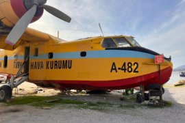 Bafa’nın Simgesi Haline Geldi