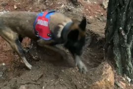 Kayıp Şahsın Akıbeti 19 Yıl Sonra Belli Oldu