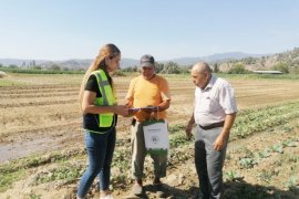 Milas Belediyesi tarımsal üretimi desteklemeye devam ediyor...