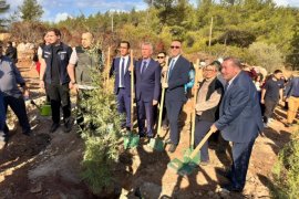 Güvercinlik’te 4 Bin Fidan Toprakla Buluştu…