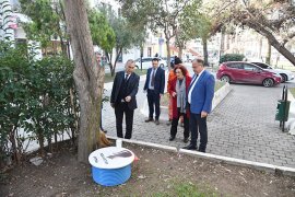 Milas’ın kedileri “ev