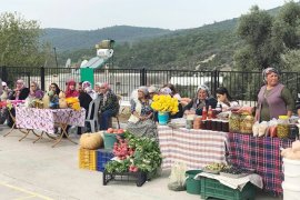 Kazıklı’da zeytin ve zeytinyağı şenliği