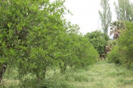 Zirai Donun Yaraları Büyükşehir’in Desteğiyle Sarıldı