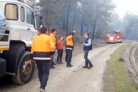 Orman yangınları Muğla’da yaz-kış dinlemiyor!.. SON HAFTADA 6 ORMAN YANGINI..