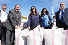 Milas Belediyesi, Üreticilere 4 Bin 275 Kilo Buğday Tohumu Dağıttı