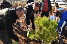 Çamovalı Mahallesi'nde Fidanlar ve Tohumlar Toprakla Buluştu