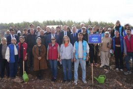 Güvercinlik’te 4 Bin Fidan Toprakla Buluştu…